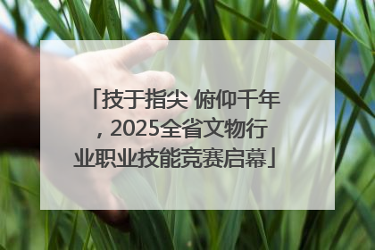 技于指尖 俯仰千年，2025全省文物行业职业技能竞赛启幕