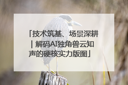 技术筑基、场景深耕｜解码AI独角兽云知声的硬核实力版图