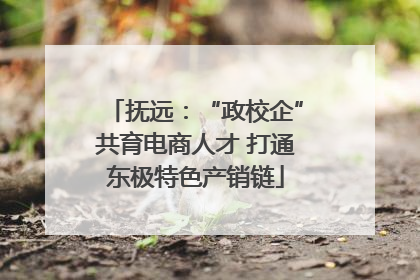 抚远：“政校企”共育电商人才 打通东极特色产销链