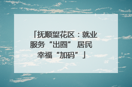 抚顺望花区：就业服务“出圈” 居民幸福“加码”