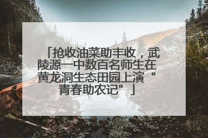 抢收油菜助丰收，武陵源一中数百名师生在黄龙洞生态田园上演“青春助农记”
