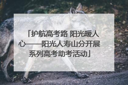 护航高考路 阳光暖人心——阳光人寿山分开展系列高考助考活动