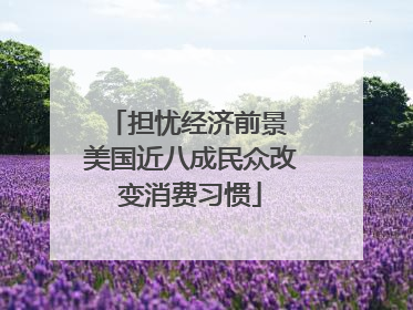 担忧经济前景 美国近八成民众改变消费习惯