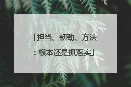 担当、韧劲、方法：根本还是抓落实