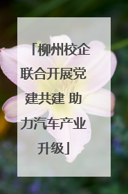 柳州校企联合开展党建共建 助力汽车产业升级