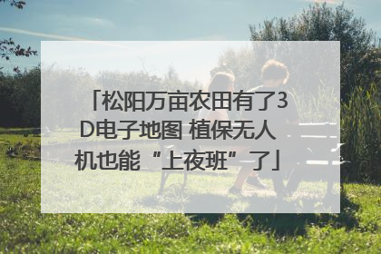松阳万亩农田有了3D电子地图 植保无人机也能“上夜班”了