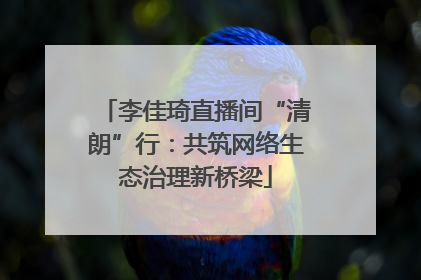 李佳琦直播间“清朗”行：共筑网络生态治理新桥梁
