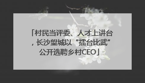 村民当评委、人才上讲台，长沙望城以“擂台比武” 公开选聘乡村CEO