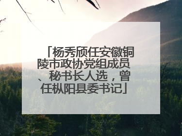 杨秀颀任安徽铜陵市政协党组成员、秘书长人选，曾任枞阳县委书记