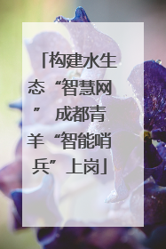 构建水生态“智慧网” 成都青羊“智能哨兵”上岗