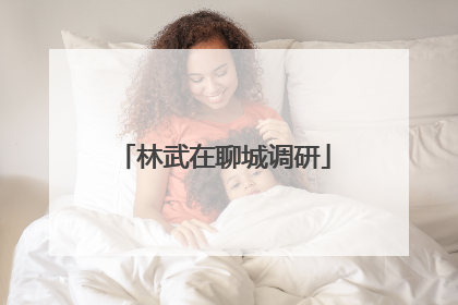 林武在聊城调研