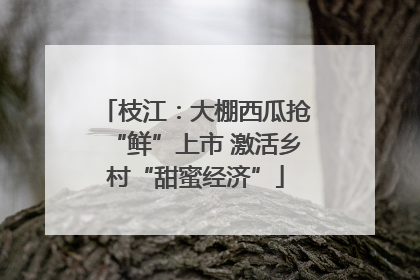 枝江：大棚西瓜抢“鲜”上市 激活乡村“甜蜜经济”