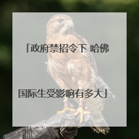 政府禁招令下 哈佛国际生受影响有多大