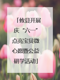 攸县开展庆“六一”点亮宝贝微心愿暨公益研学活动