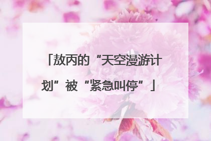 敖丙的“天空漫游计划”被“紧急叫停”