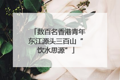 数百名香港青年东江源头三百山“饮水思源”