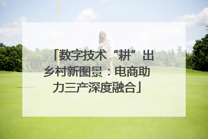 数字技术“耕”出乡村新图景：电商助力三产深度融合