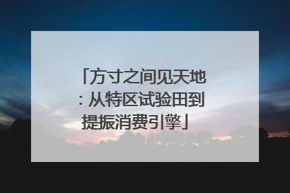 方寸之间见天地：从特区试验田到提振消费引擎