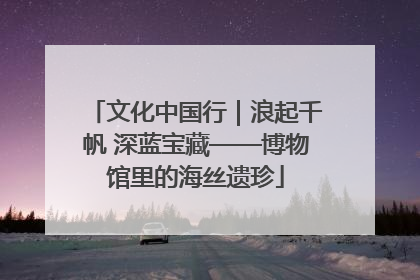 文化中国行｜浪起千帆 深蓝宝藏——博物馆里的海丝遗珍