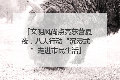 文明风尚点亮东营夏夜，八大行动“沉浸式”走进市民生活