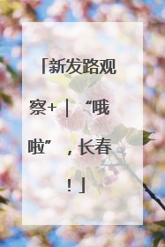 新发路观察+｜“哦啦”，长春！