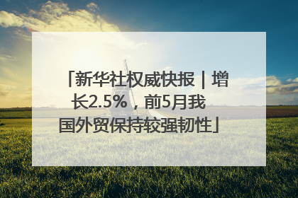 新华社权威快报｜增长2.5%，前5月我国外贸保持较强韧性