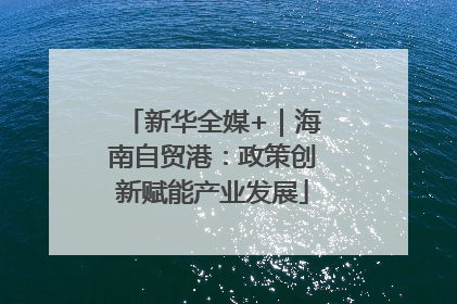 新华全媒+｜海南自贸港：政策创新赋能产业发展