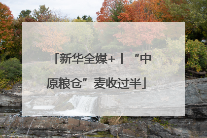 新华全媒+丨“中原粮仓”麦收过半