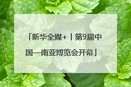 新华全媒+丨第9届中国—南亚博览会开幕