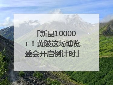 新品10000+！黄陂这场博览盛会开启倒计时