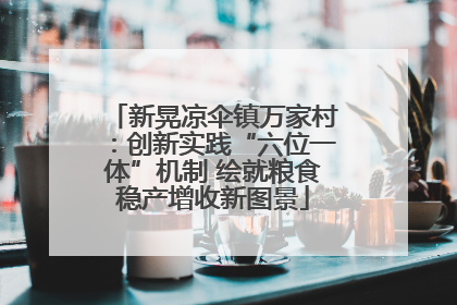 新晃凉伞镇万家村：创新实践“六位一体”机制 绘就粮食稳产增收新图景