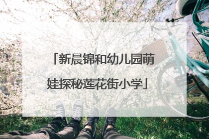 新晨锦和幼儿园萌娃探秘莲花街小学