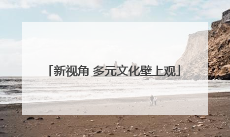 新视角 多元文化壁上观