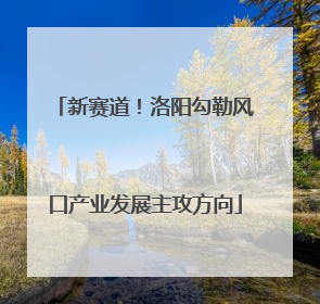新赛道！洛阳勾勒风口产业发展主攻方向