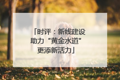 时评：新线建设助力“黄金水道”更添新活力