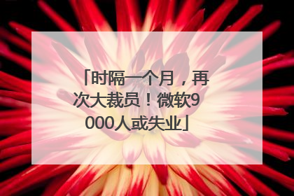 时隔一个月，再次大裁员！微软9000人或失业