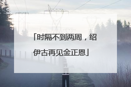 时隔不到两周，绍伊古再见金正恩