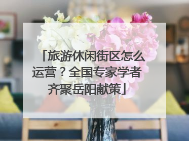 旅游休闲街区怎么运营？全国专家学者齐聚岳阳献策