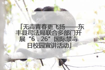 无毒青春更飞扬——东丰县司法局联合多部门开展“6．26”国际禁毒日校园宣讲活动