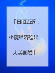 日照五莲：小院经济绘出大美画卷