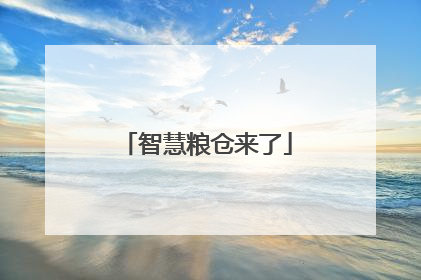 智慧粮仓来了