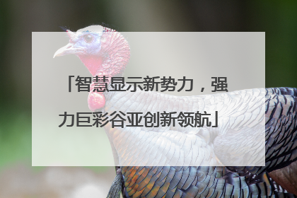 智慧显示新势力，强力巨彩谷亚创新领航