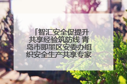 智汇安全促提升 共享经验筑防线 青岛市即墨区安委办组织安全生产共享专家现场观摩学习活动