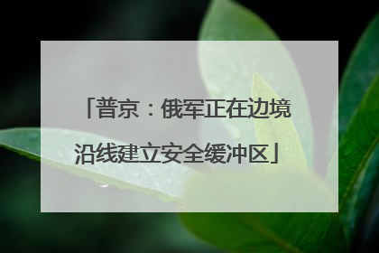 普京：俄军正在边境沿线建立安全缓冲区