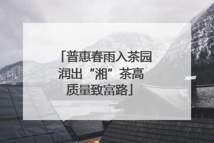 普惠春雨入茶园 润出“湘”茶高质量致富路