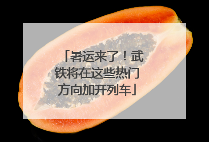 暑运来了！武铁将在这些热门方向加开列车
