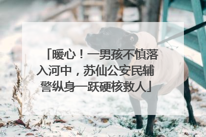 暖心！一男孩不慎落入河中，苏仙公安民辅警纵身一跃硬核救人
