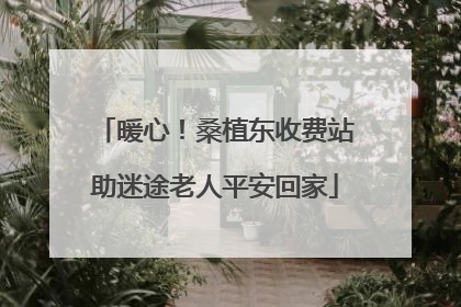 暖心！桑植东收费站助迷途老人平安回家