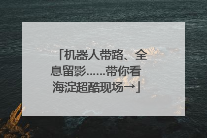 机器人带路、全息留影……带你看海淀超酷现场→