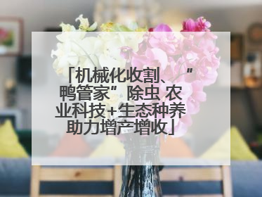 机械化收割、“鸭管家”除虫 农业科技+生态种养助力增产增收